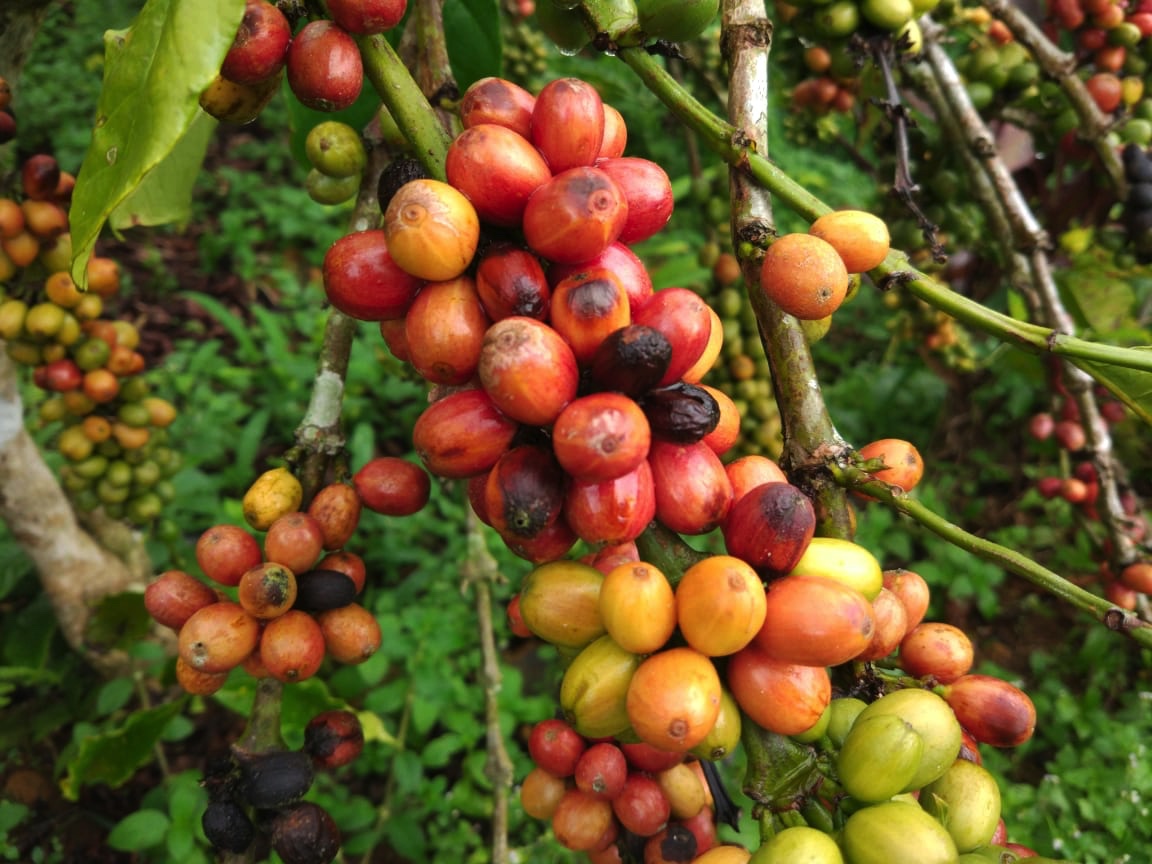 Image 23 03 19 at 18.32 1